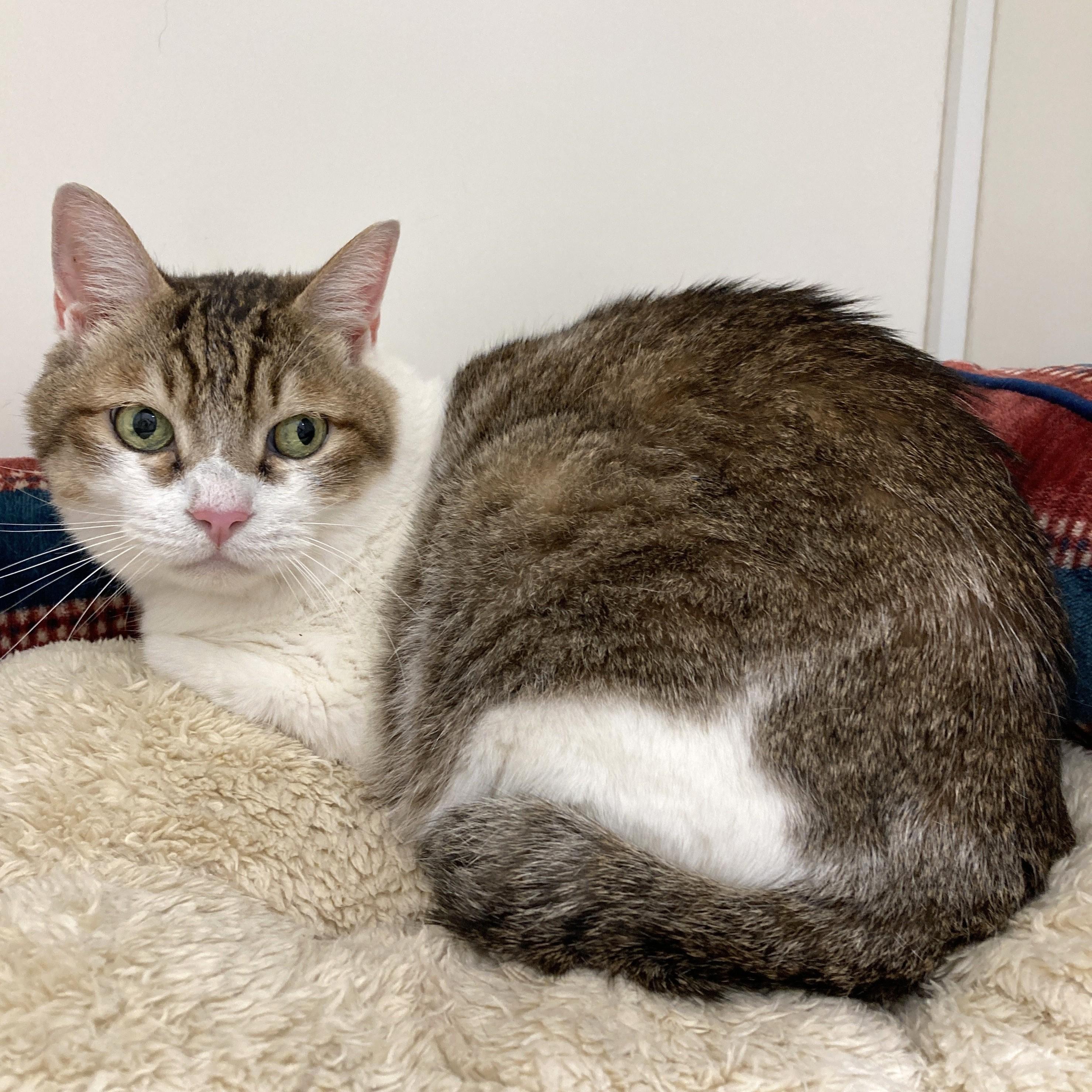 Image_20251106_155444_945 - コピー.jpeg