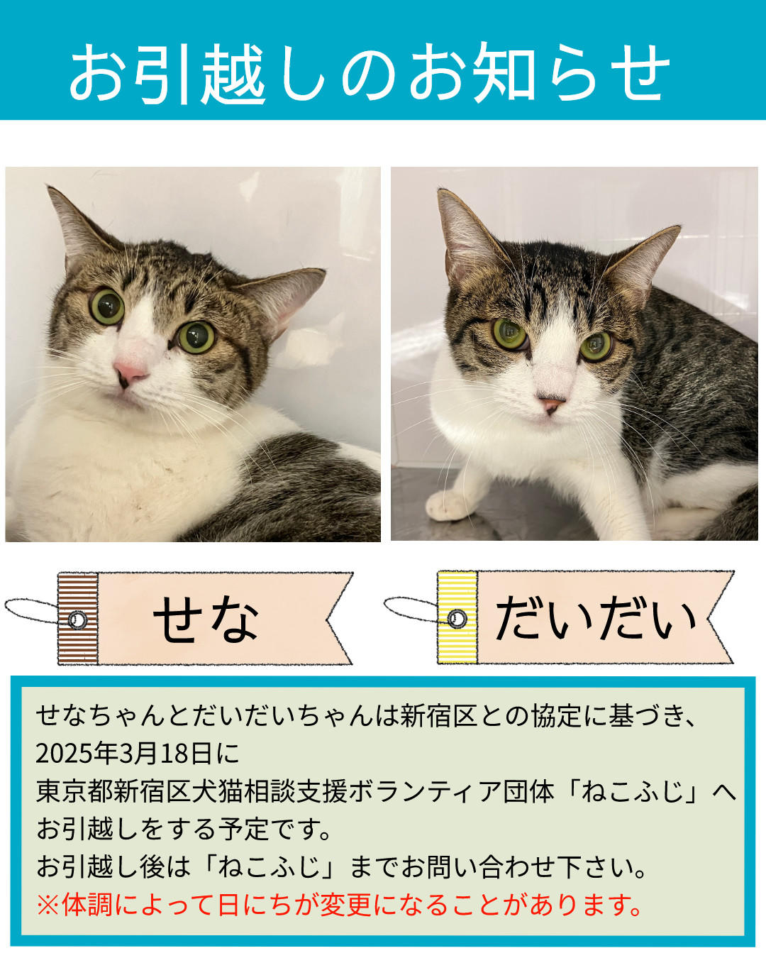 ｲﾝｽﾀ引越　せな・だいだい (2025_3_11 15_00_28 1080x1350px).jpg