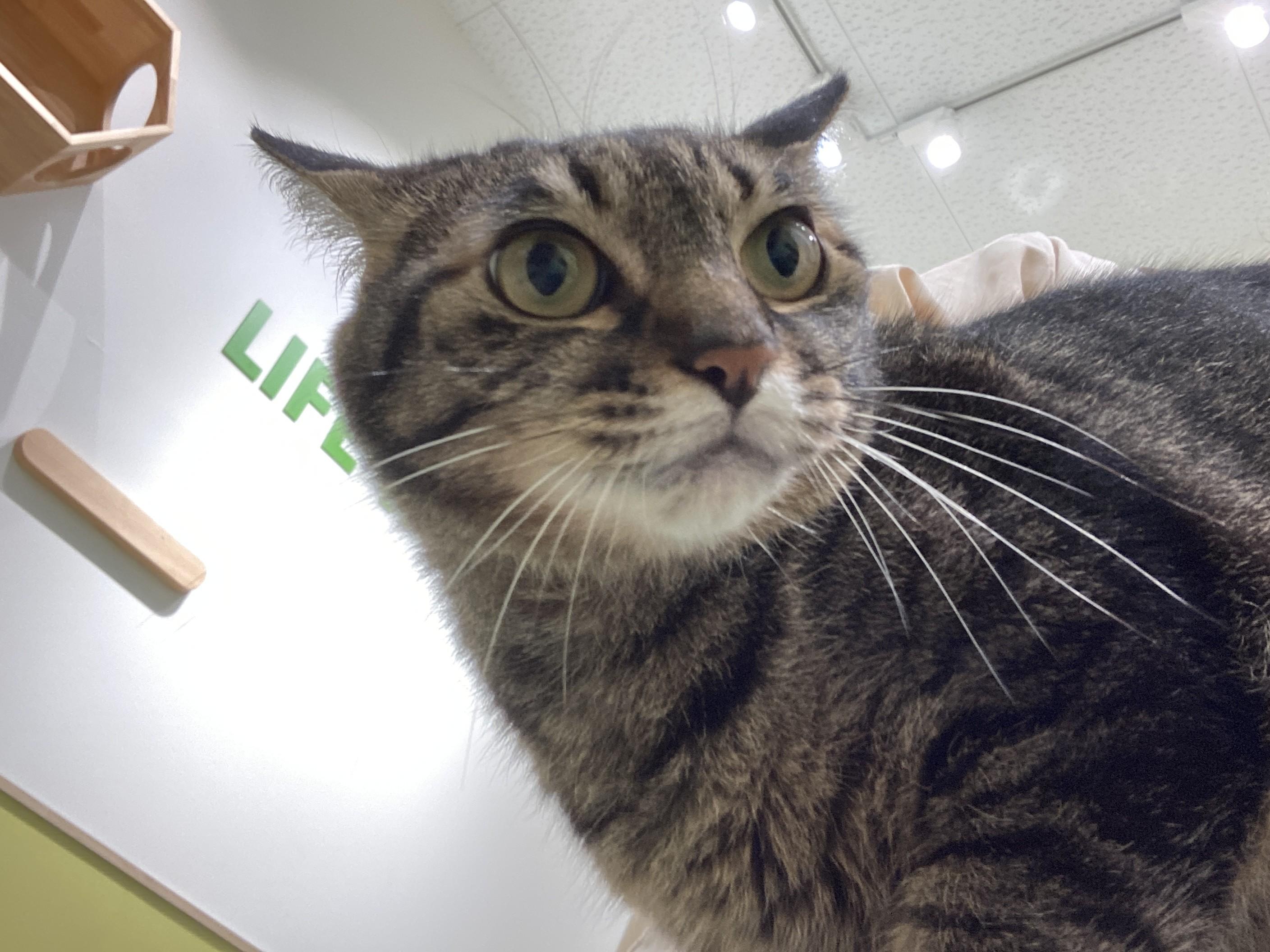 IMG_5852.JPG