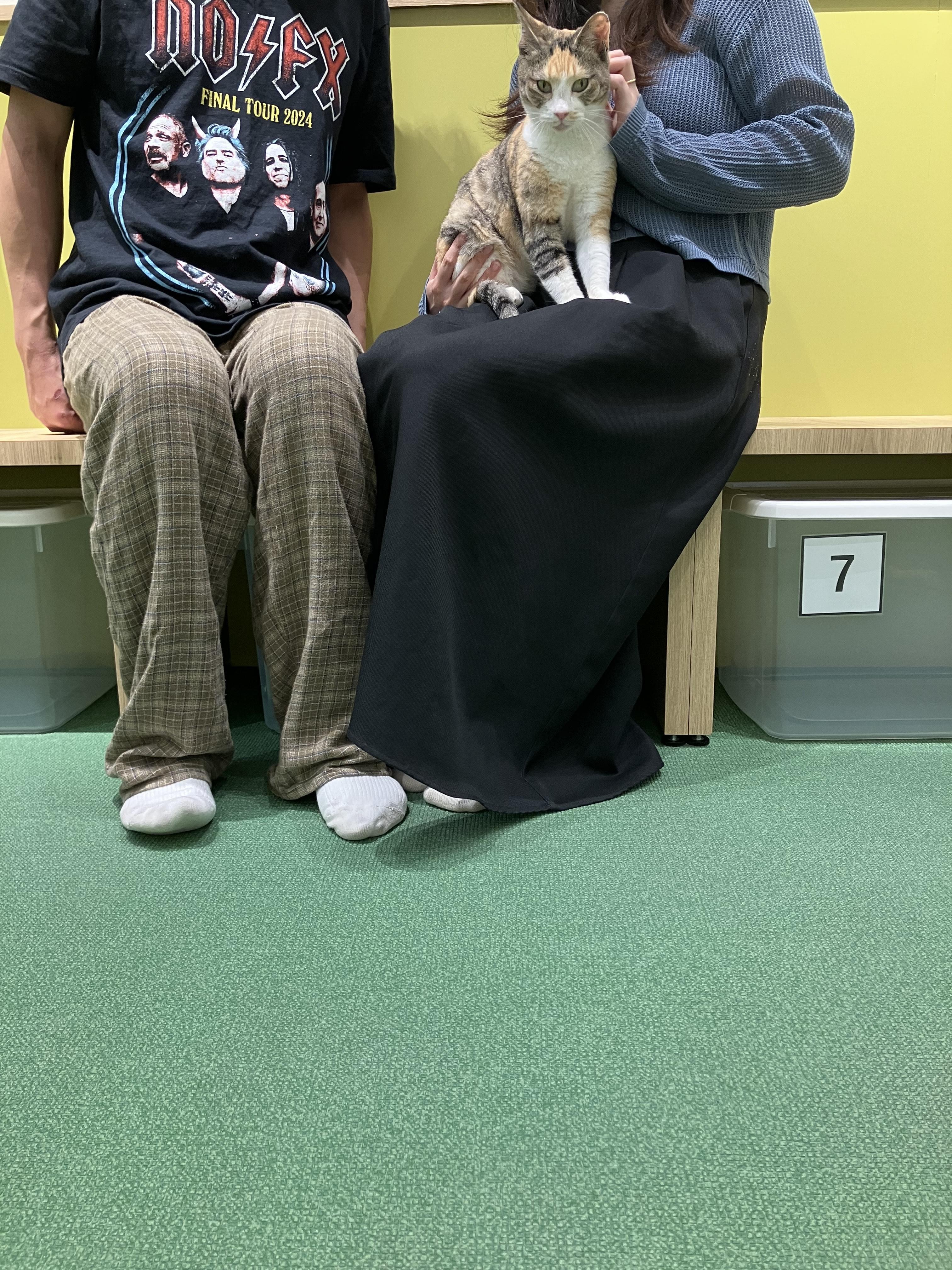 Image_20250714_161314.jpeg