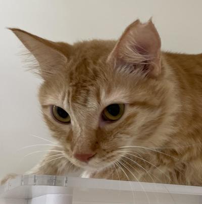 Image_20251016_143212_3483 (1).jpeg