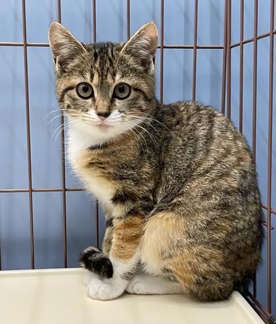 Image_20251215_151102_969 (1).jpeg