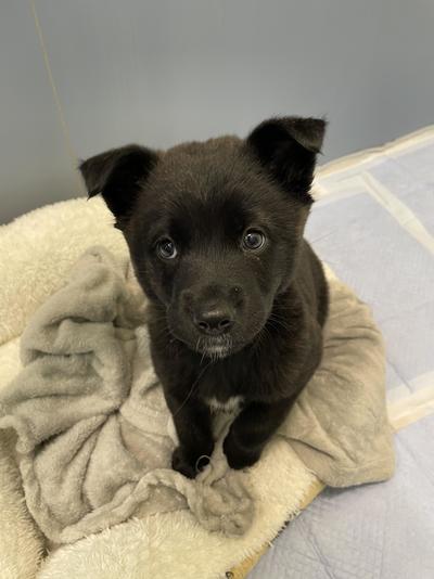 Image_20260128_174601_888 (1).jpeg