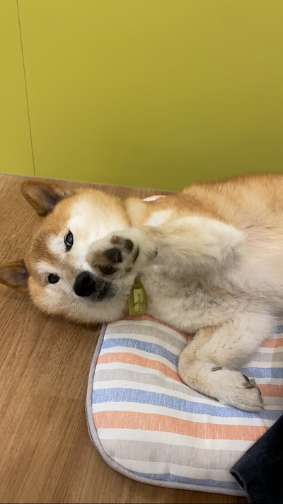Image_20260523_151642_598.png