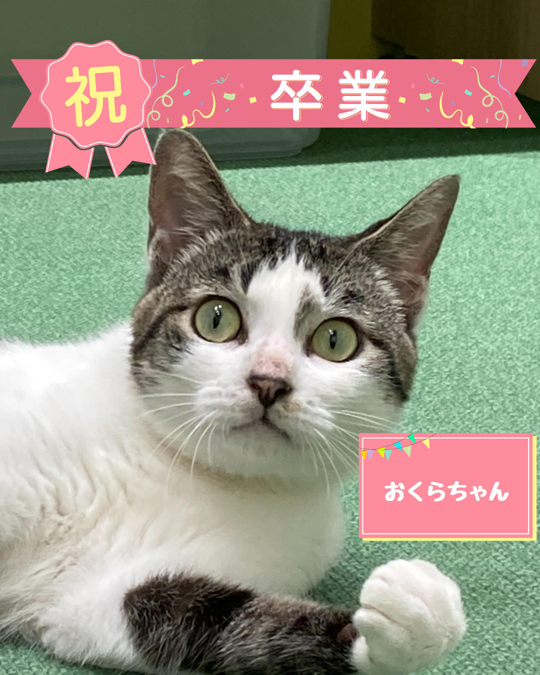 卒業　おくら (2026_8_3 10_29_55 1080x1350px).jpg