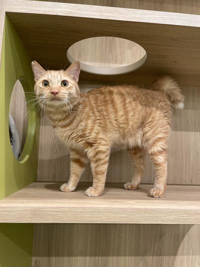 元Image_20251104_094703_822 (2).jpeg