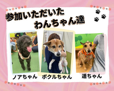 同窓会用 のコピー (2025_10_5 17_22_54 1350x1080px).jpg