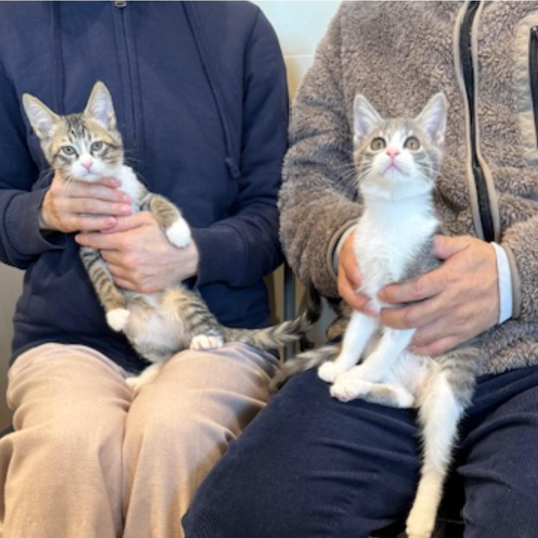 ホルン、ビオラ_卒業③ (2025_11_2 15_52_06 1080x1080px).jpg