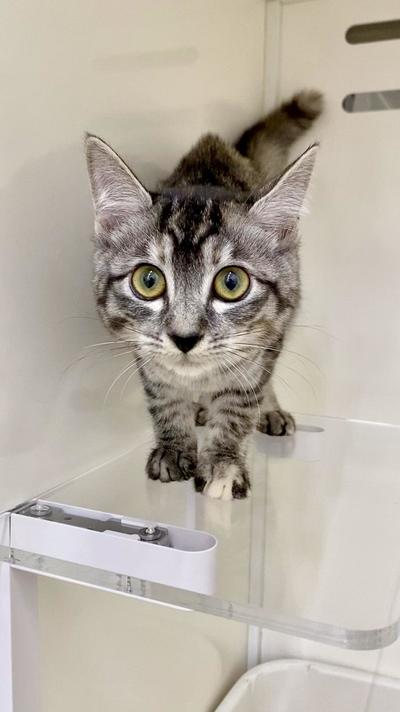 元exported_7EC18AAC-B1CA-48AE-9DAA-A1CF5538539C (1).jpg