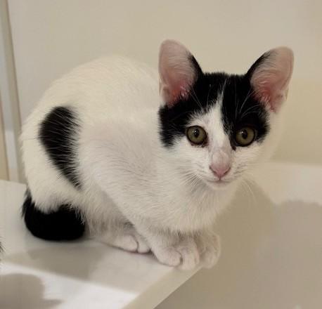 IMG_2894 - コピー.jpg