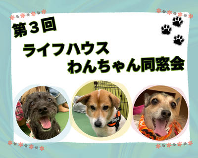 無題のPOP (2025_10_5 16_56_10 1350x1080px).jpg