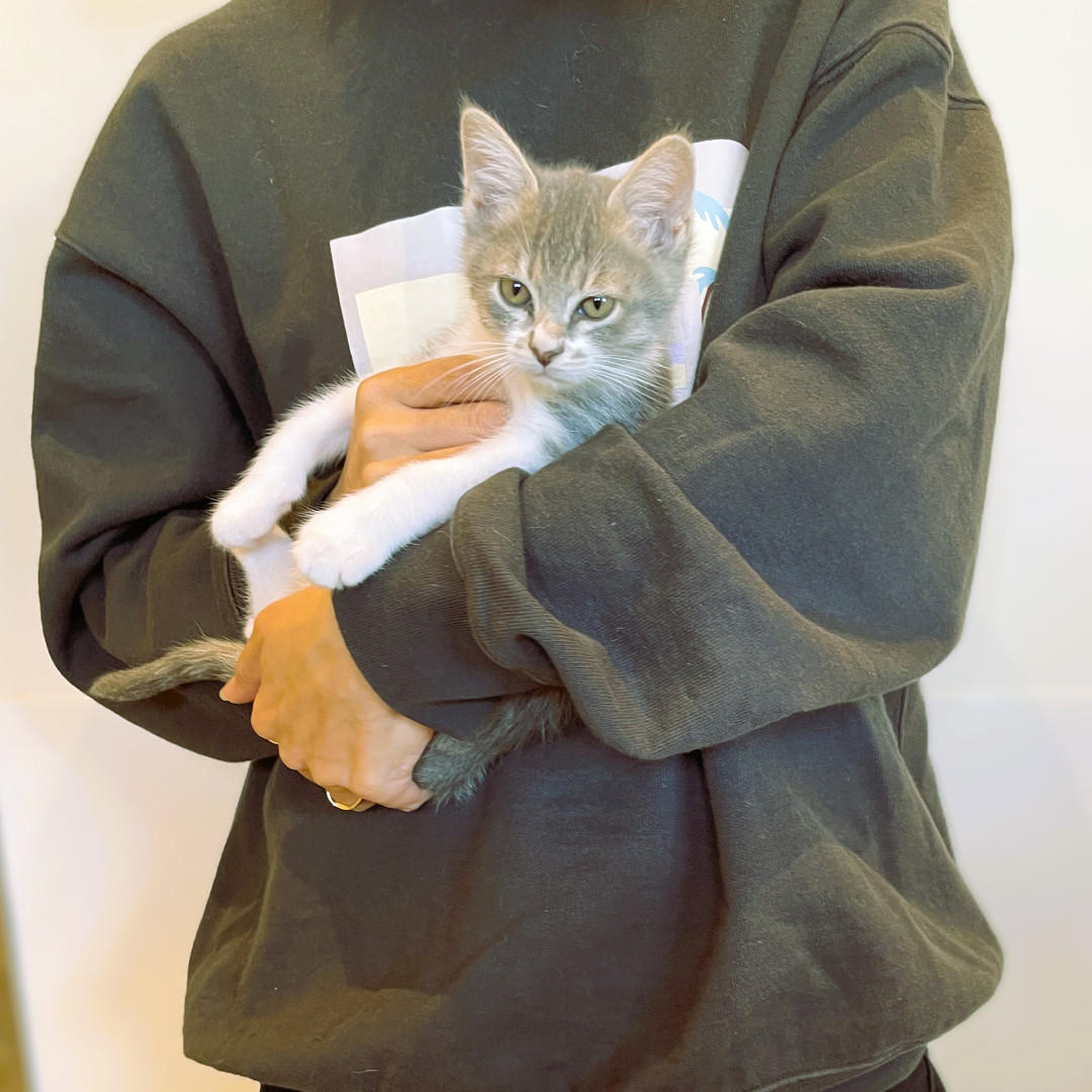 ケーナ_卒業③ (2025_10_30 10_34_12 1080x1080px).jpg