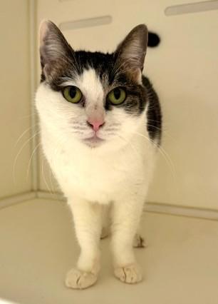 IMG_4044 - コピー.jpeg