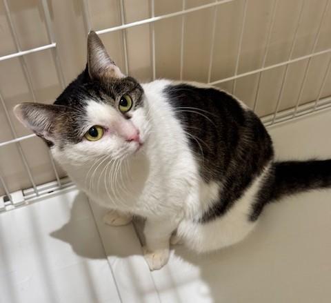 宍戸 - コピー.jpeg