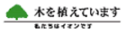 木を植えています