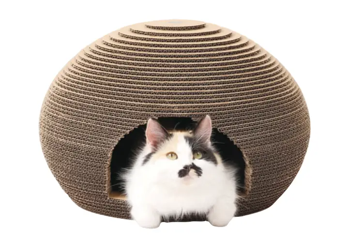 猫のくら