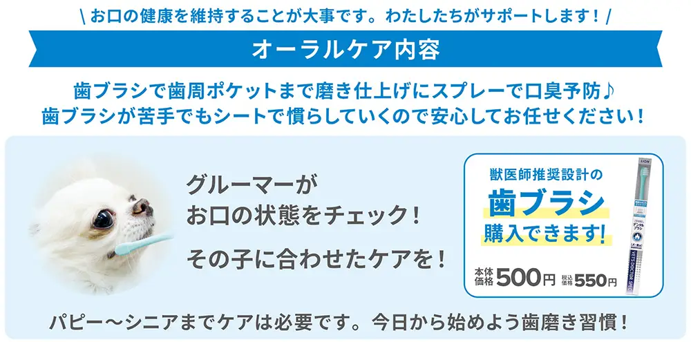 ペテモのデンタルキャンペーン│ PETEMO | イオンペット [AEON PET]