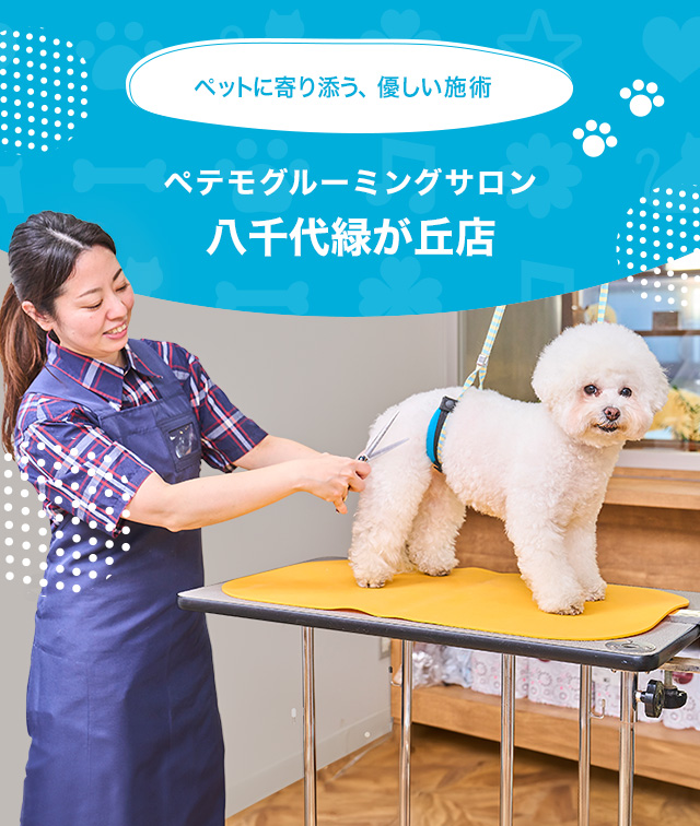 TERADA医療福祉カレッジのペットロスケアアドバイザー 講座一覧 
