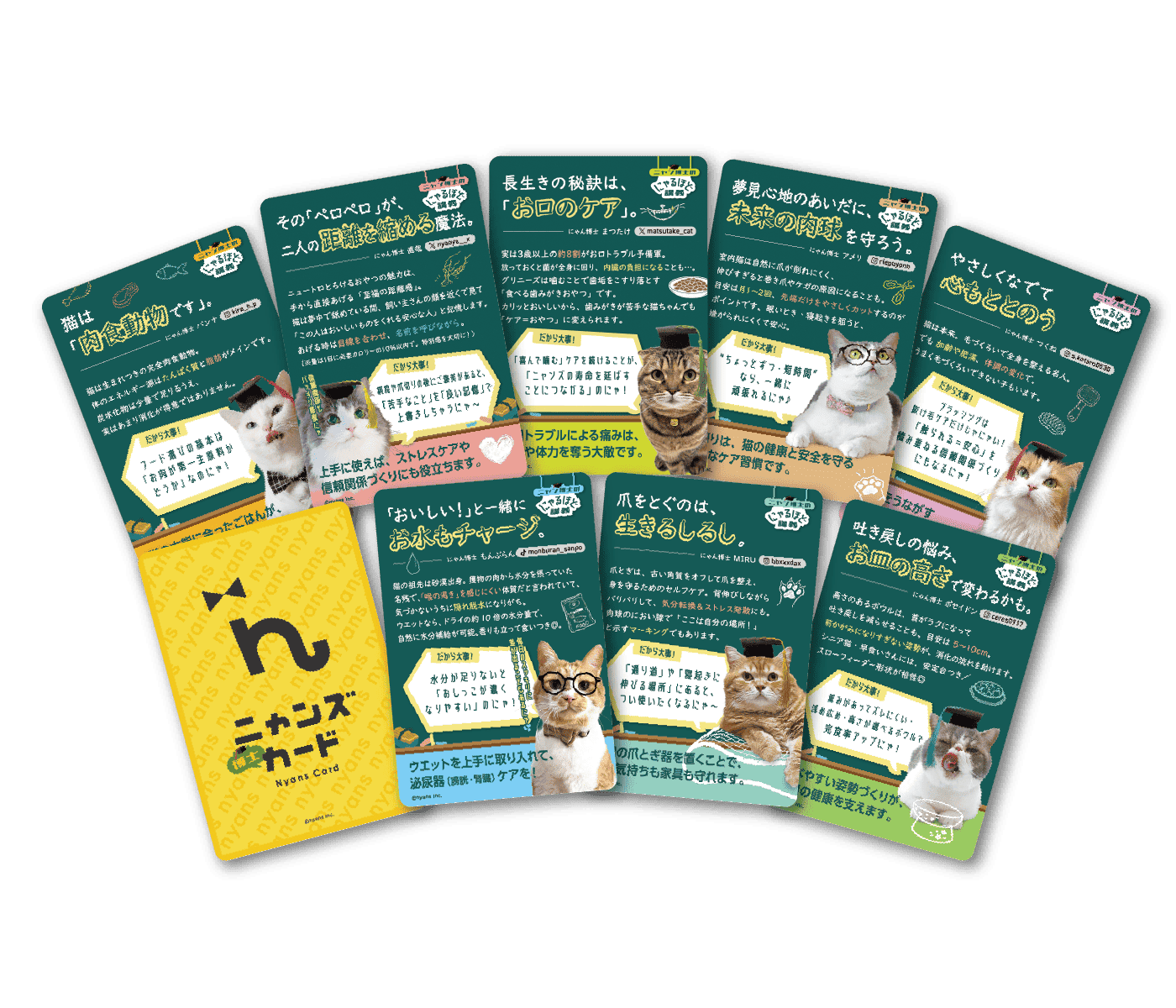 ニャンズ博士カード