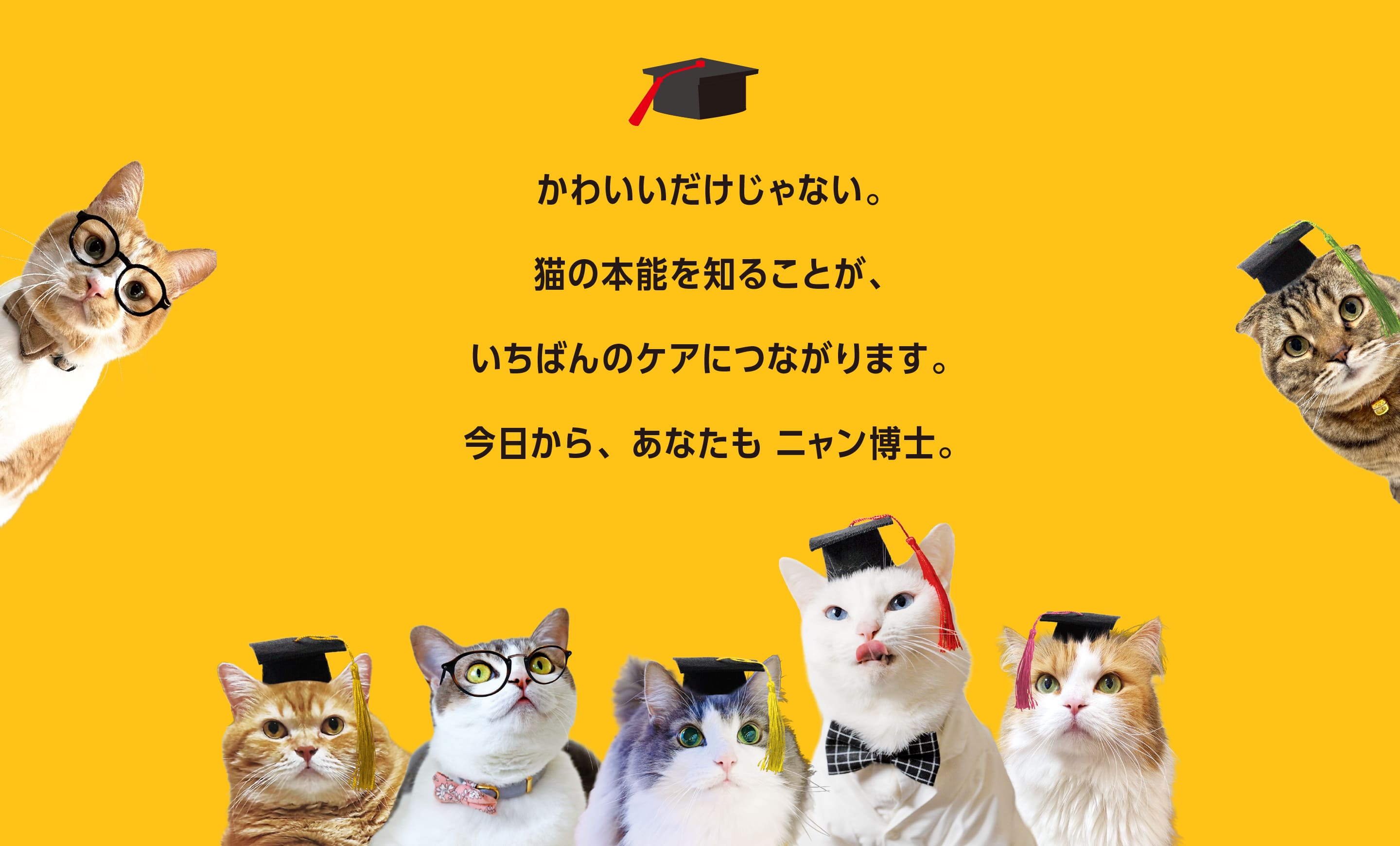 ニャン博士メッセージ