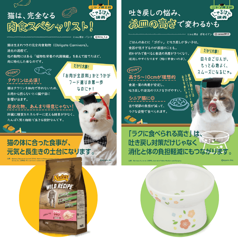 豆知識POPイメージ