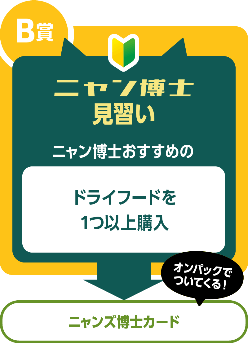 B賞 ニャン博士 見習い