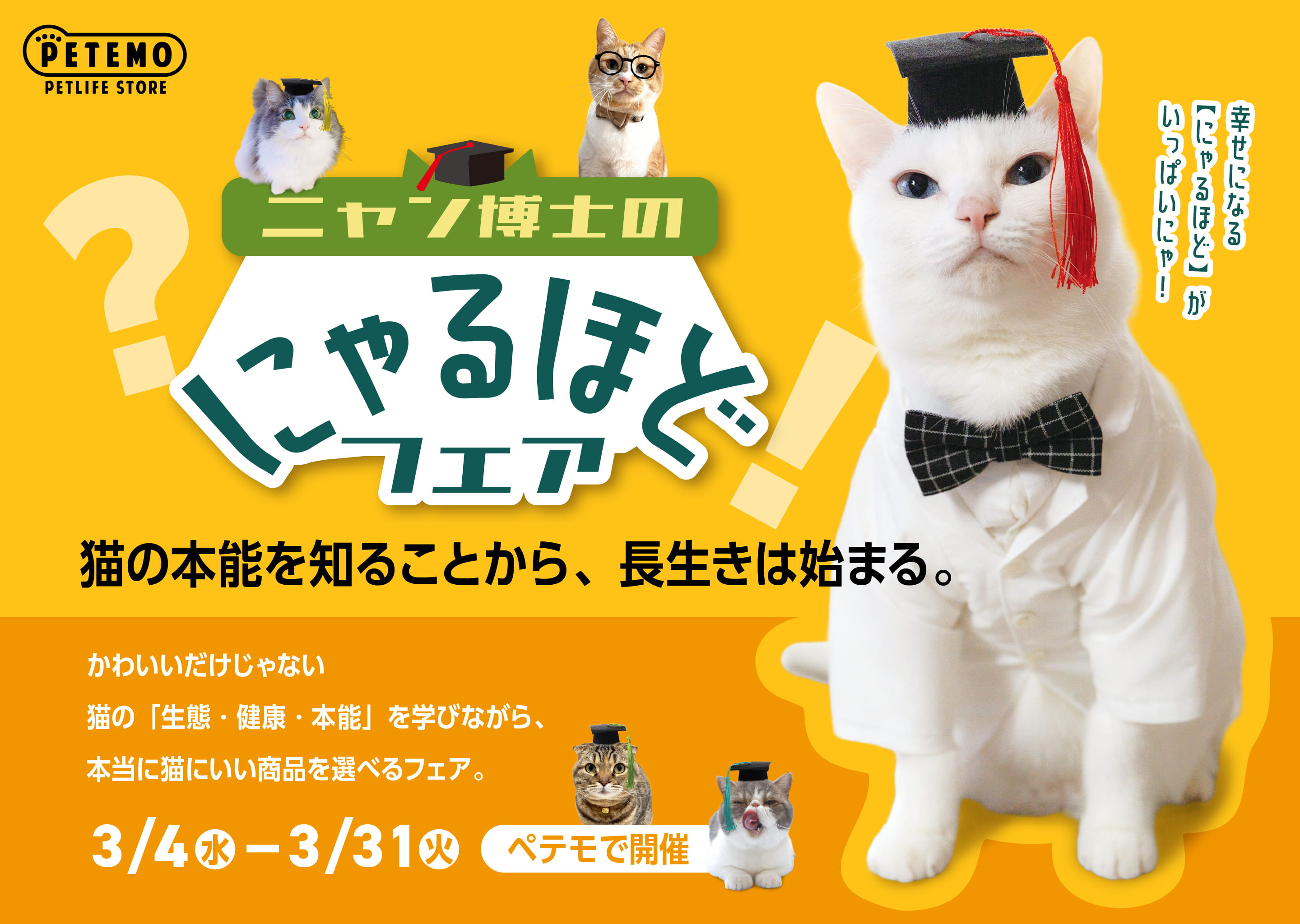 ニャン博士のにゃるほどフェア